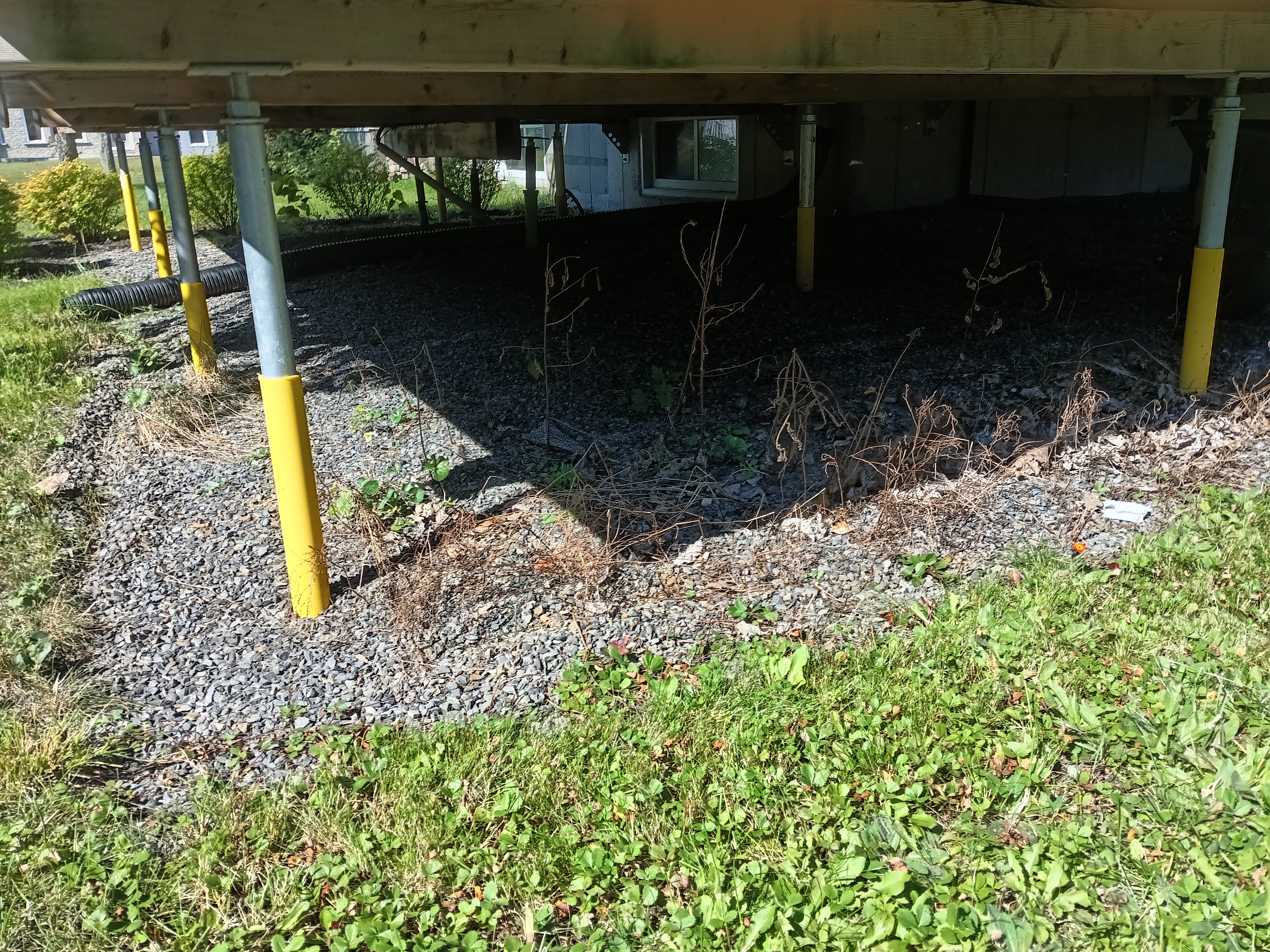 User image 68741660259df