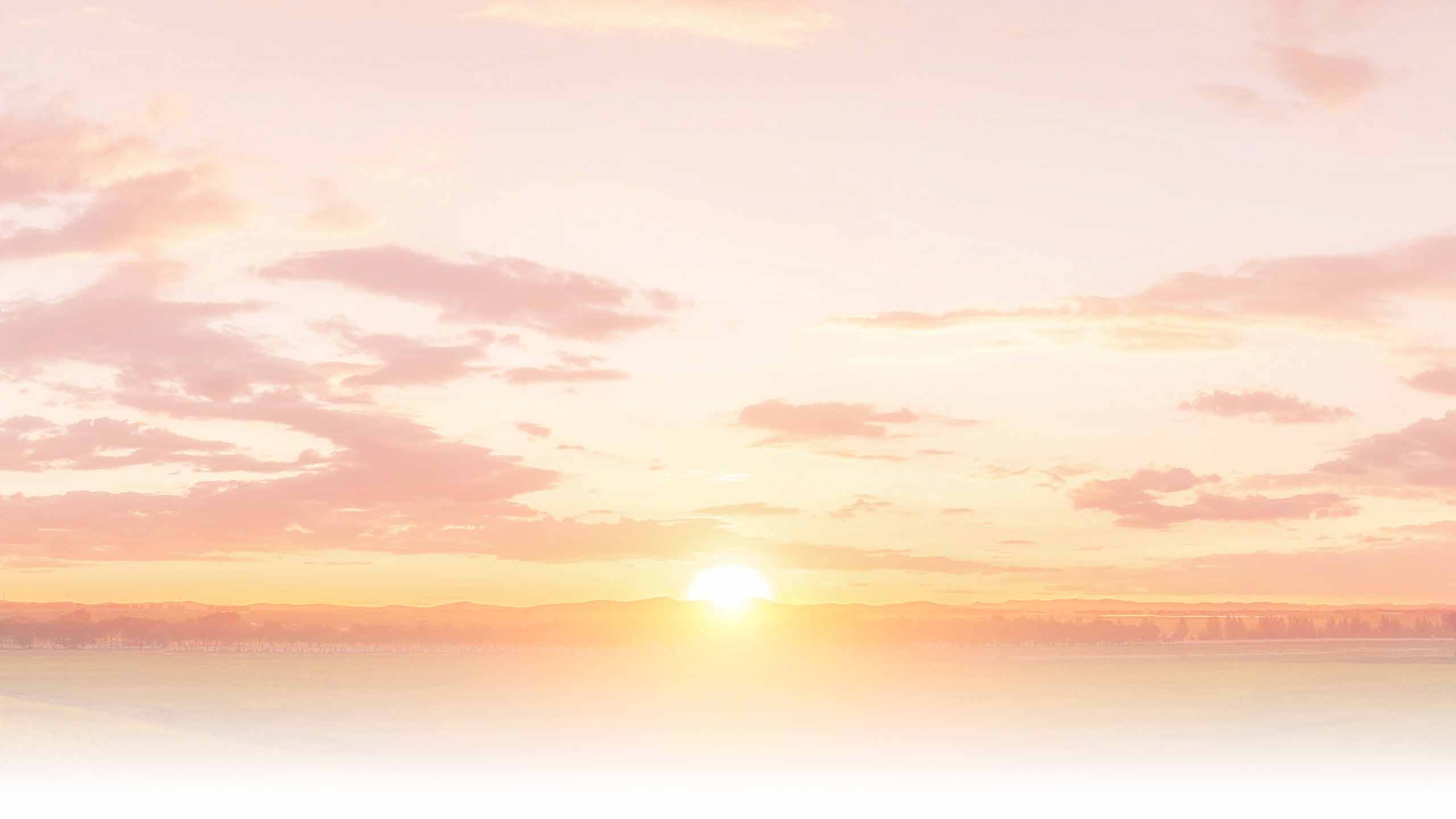User image 687690aa78b25