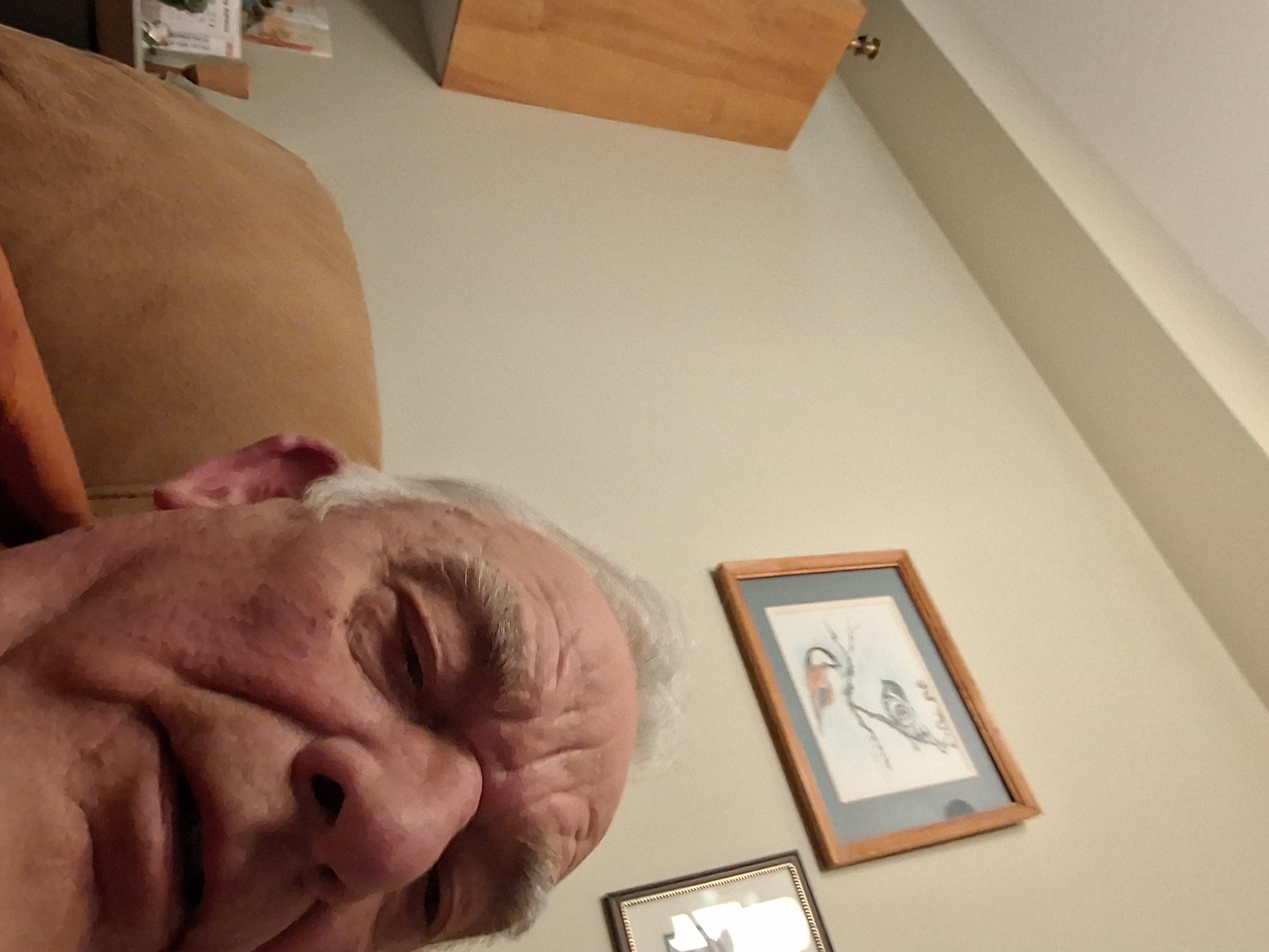 User image 6877ea2e7795d