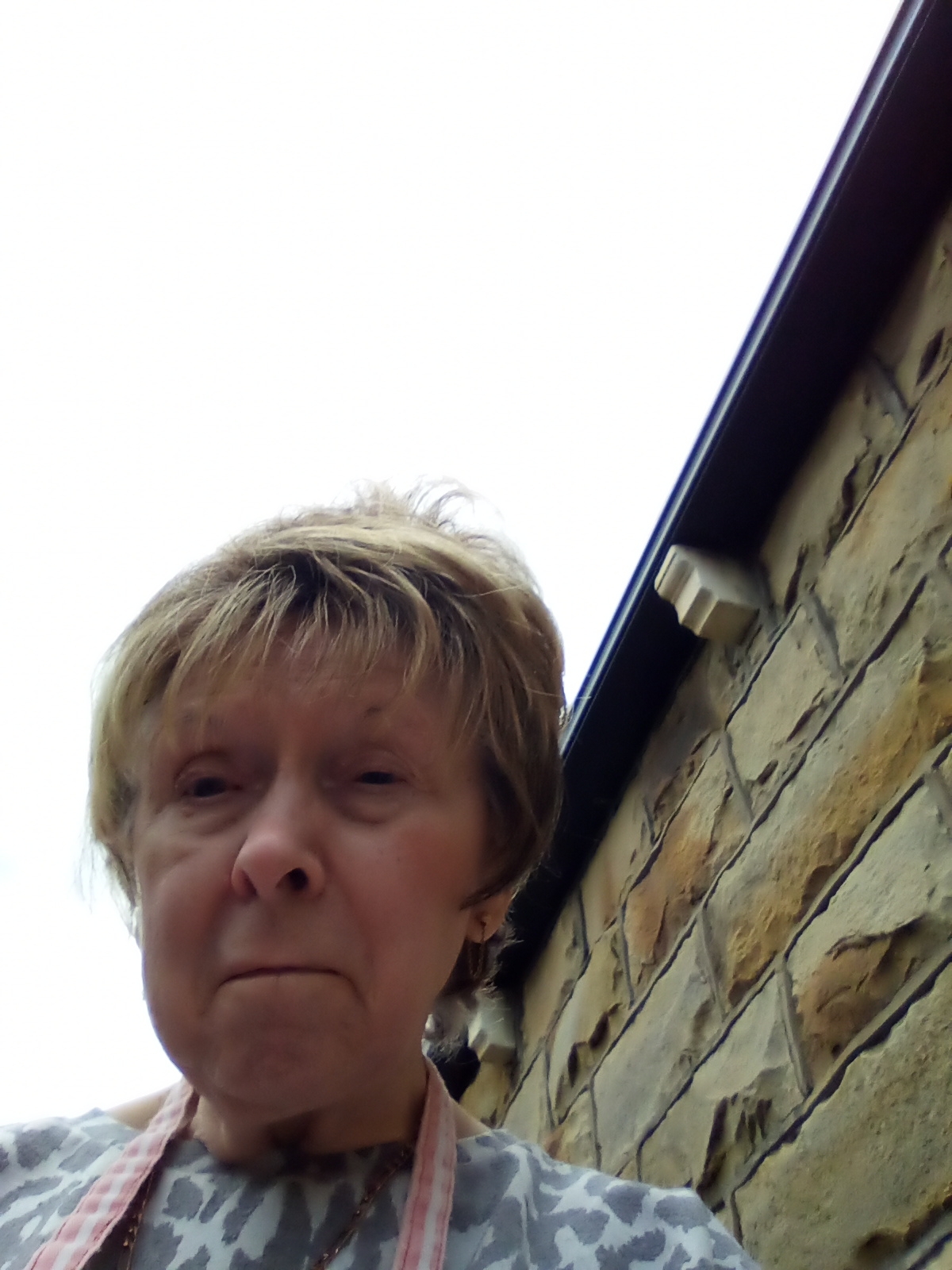 User image 6880f0633a08e