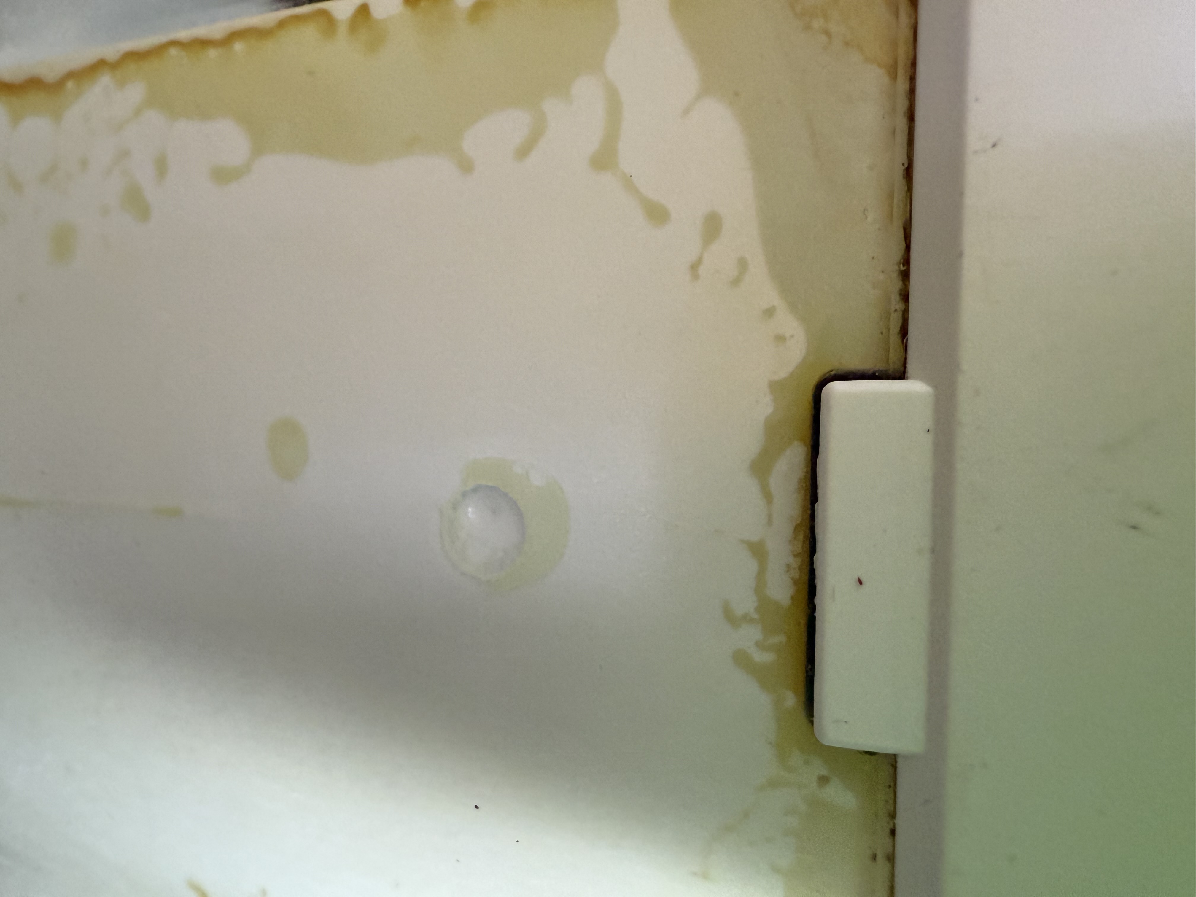 User image 68852f1e1c66a