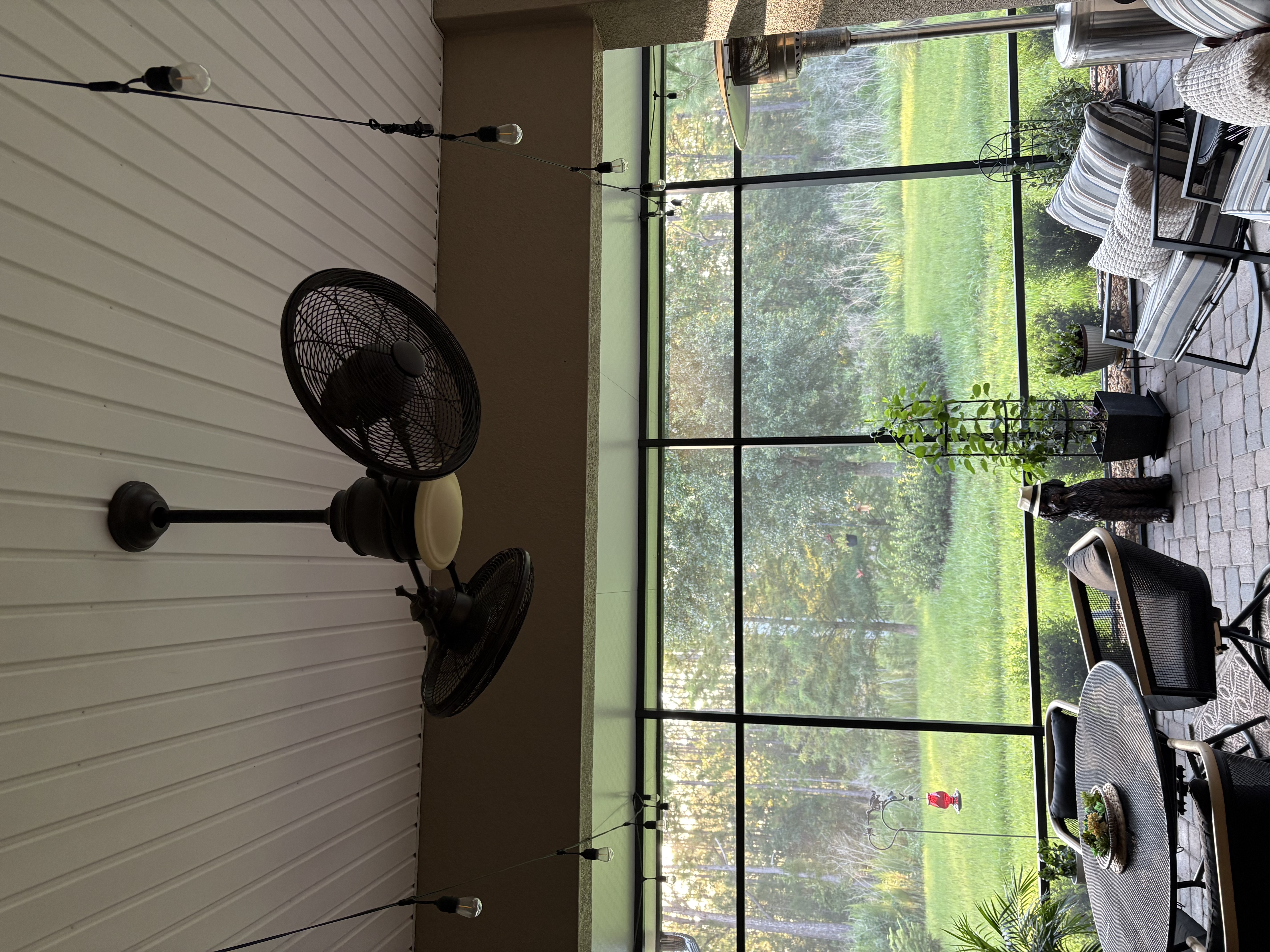 User image 6887629d89dc7