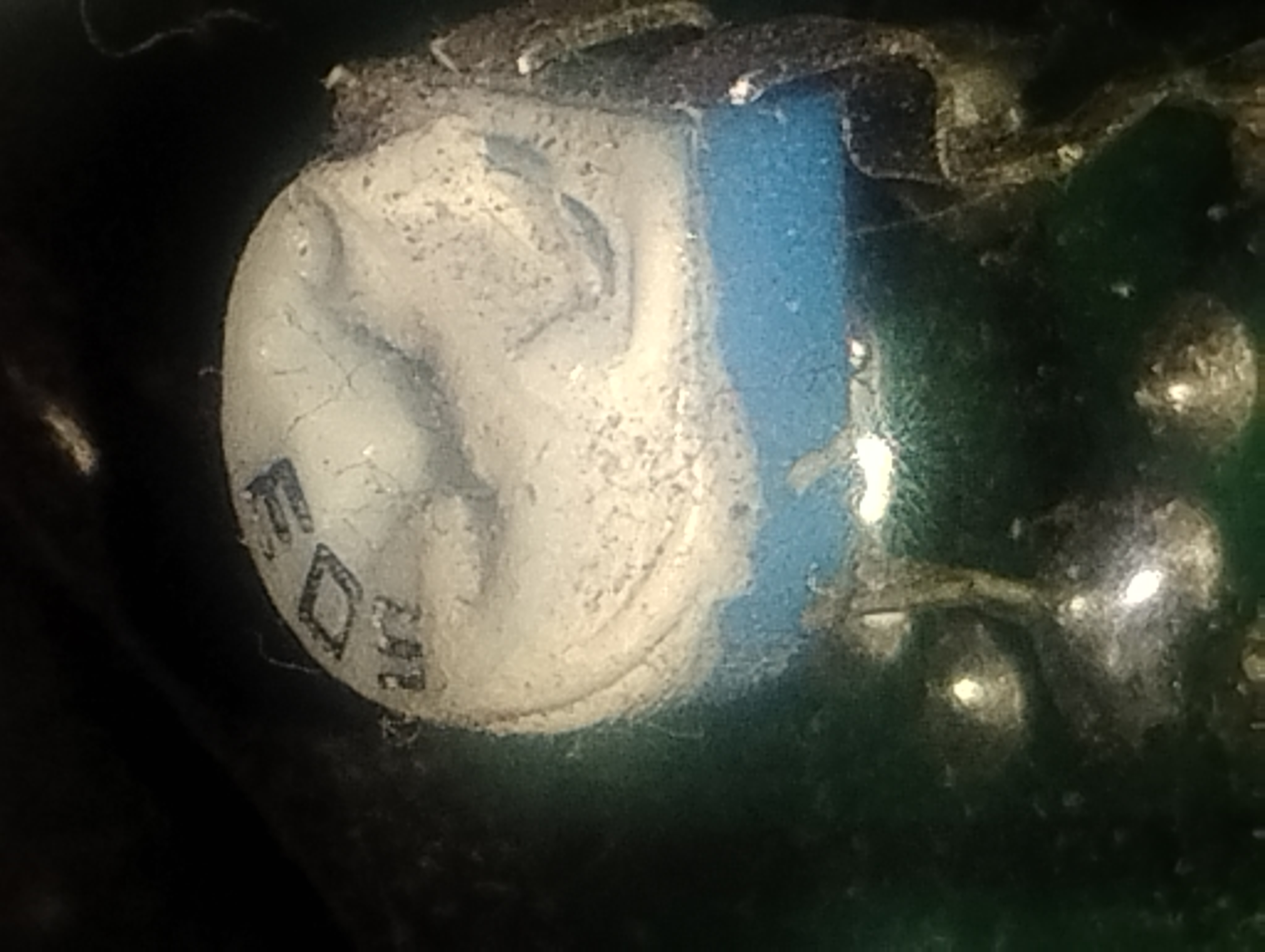 User image 6898acfed1038