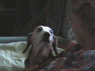 User image 689a6b242cf2d