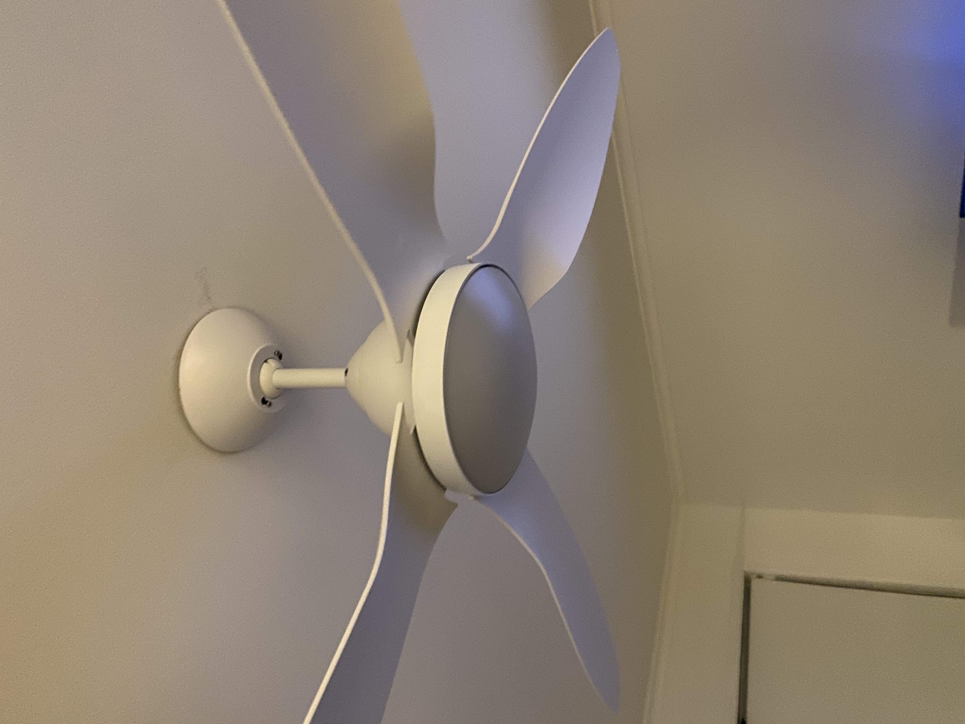 User image 68ad78160ae92