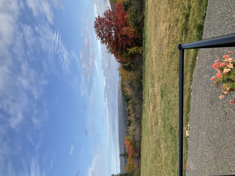 User image 67ae1467f0951