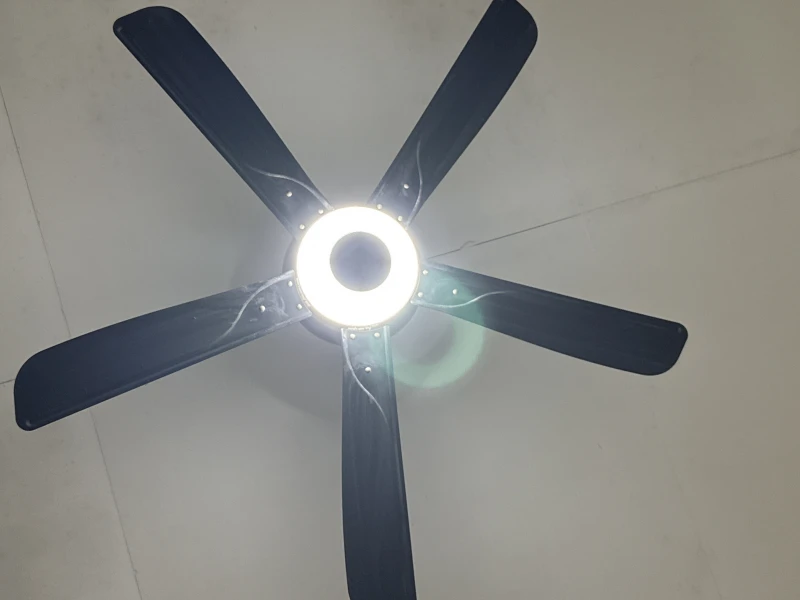 User image 67ae254c4a1b2