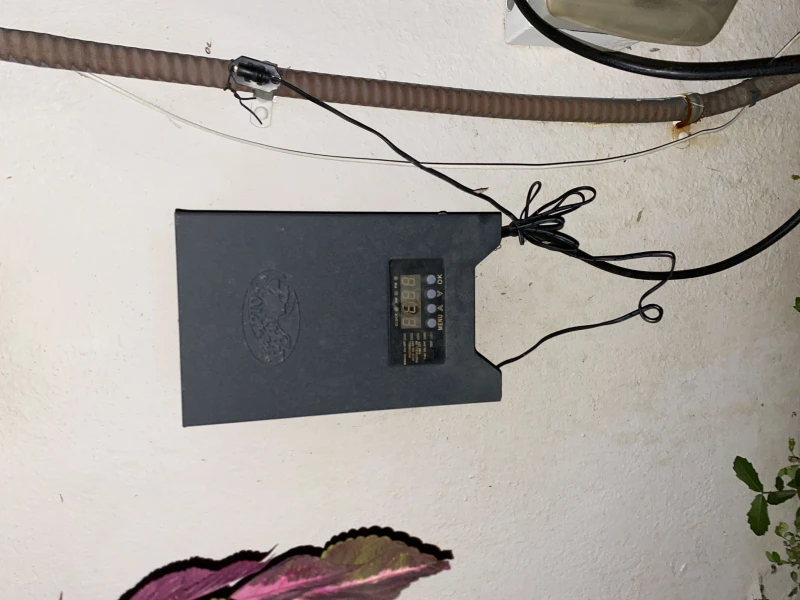 User image 67ae94e16d6ec