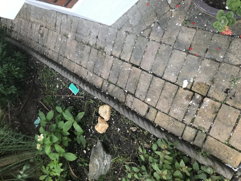 User image 67af29cf230af