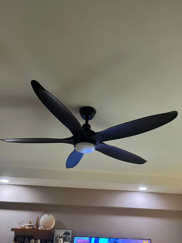 User image 67b357de6a487