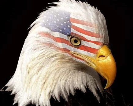 User image 67b7f7d9f0914