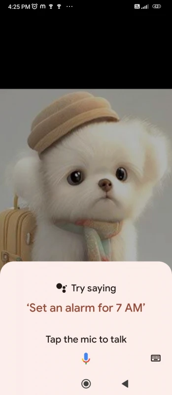 User image 67bf293b8985e