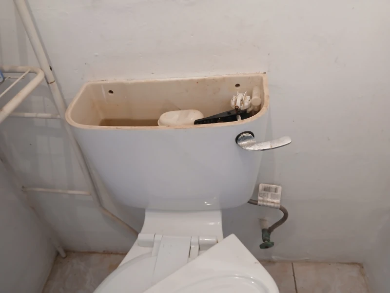 User image 67bf928263754