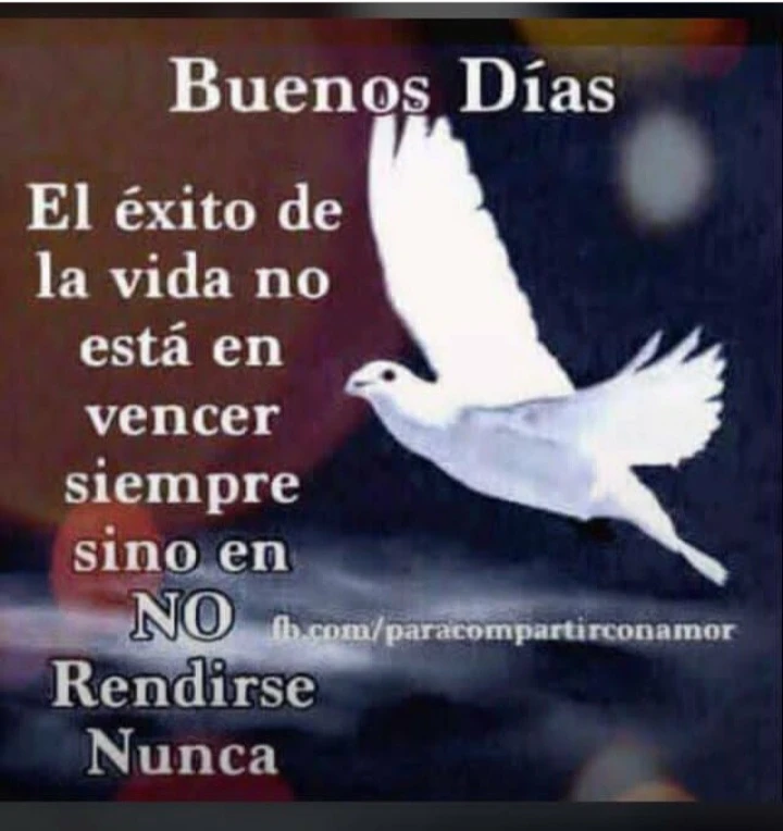 User image 67c0a4f19a301