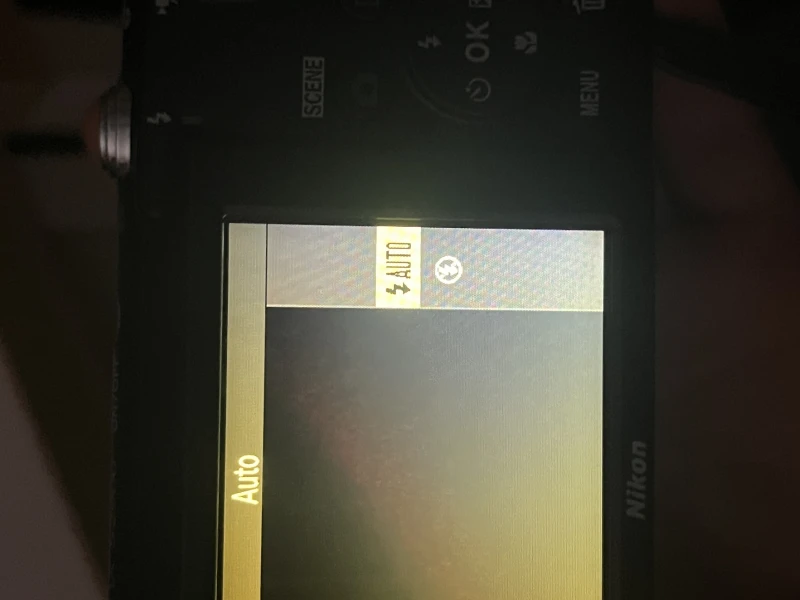 User image 67d304385c7b4