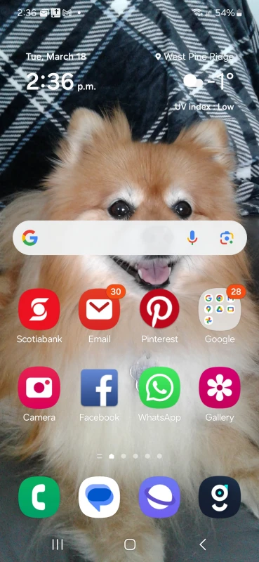 User image 67dafcca6a731