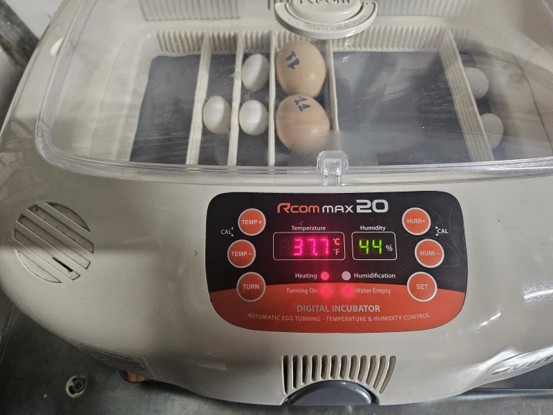 User image 67dfaa4d3159f