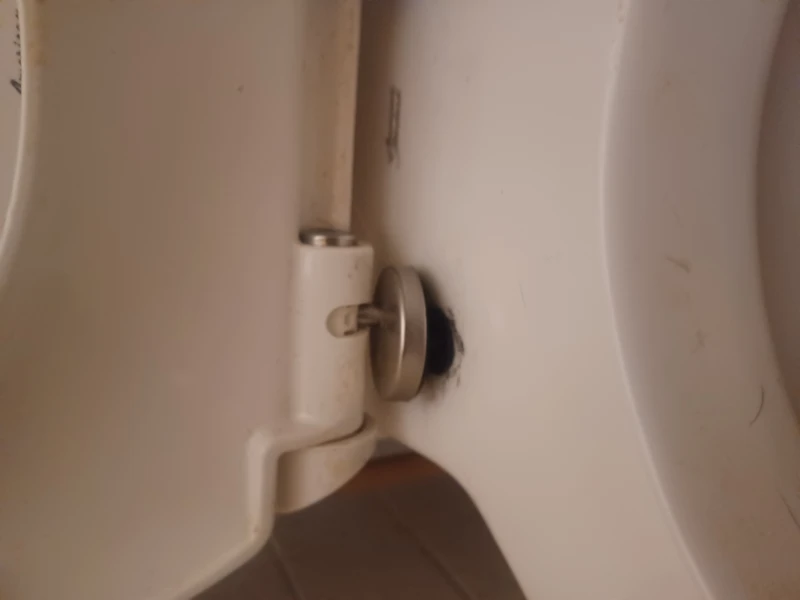 User image 67e1bf57bdea2