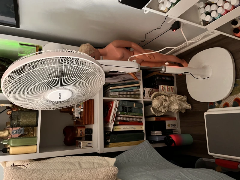 User image 67e6fc23dd1ac