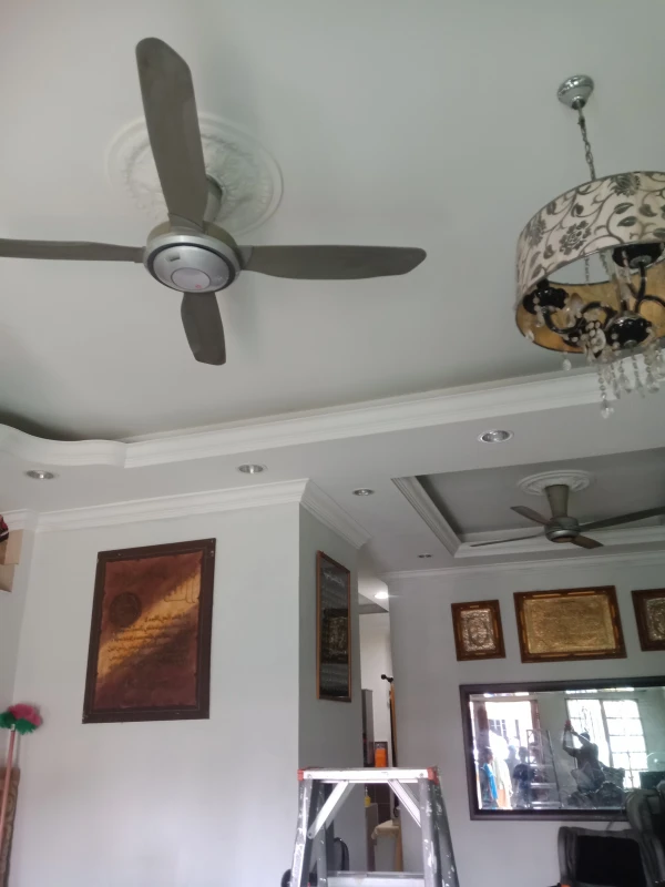 User image 67e8ba4bd3409