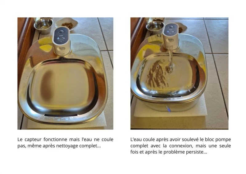User image 67ead2d171761