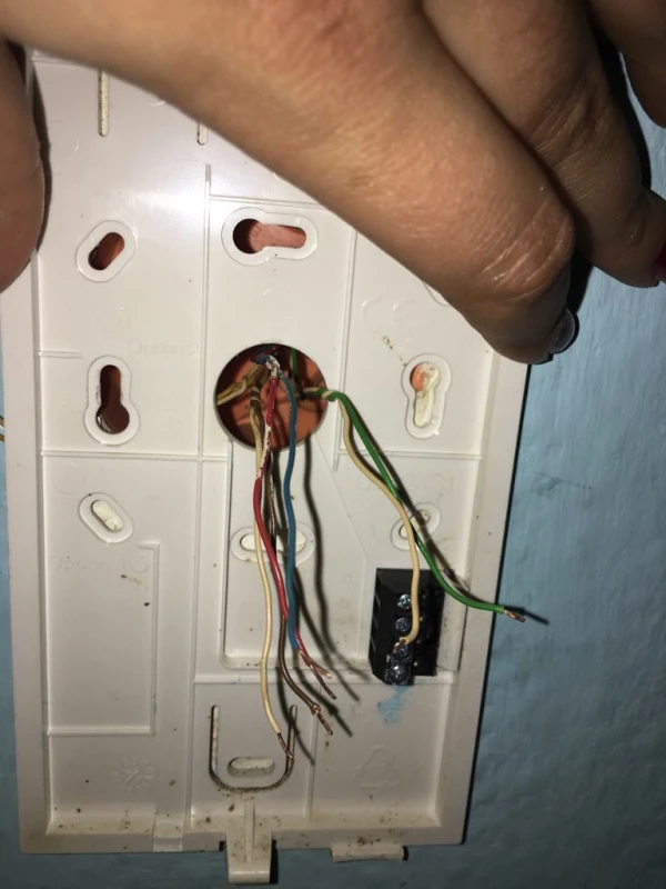 User image 67ee9653e0f43