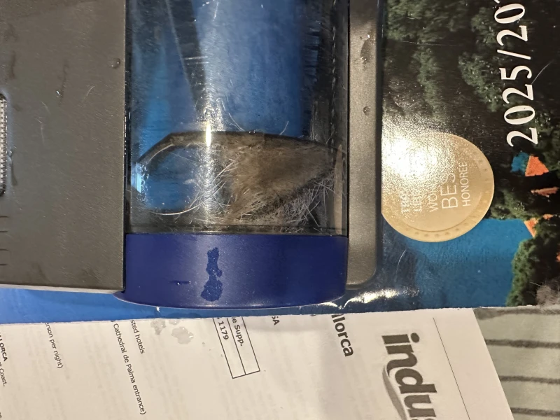 User image 67f080da5290b
